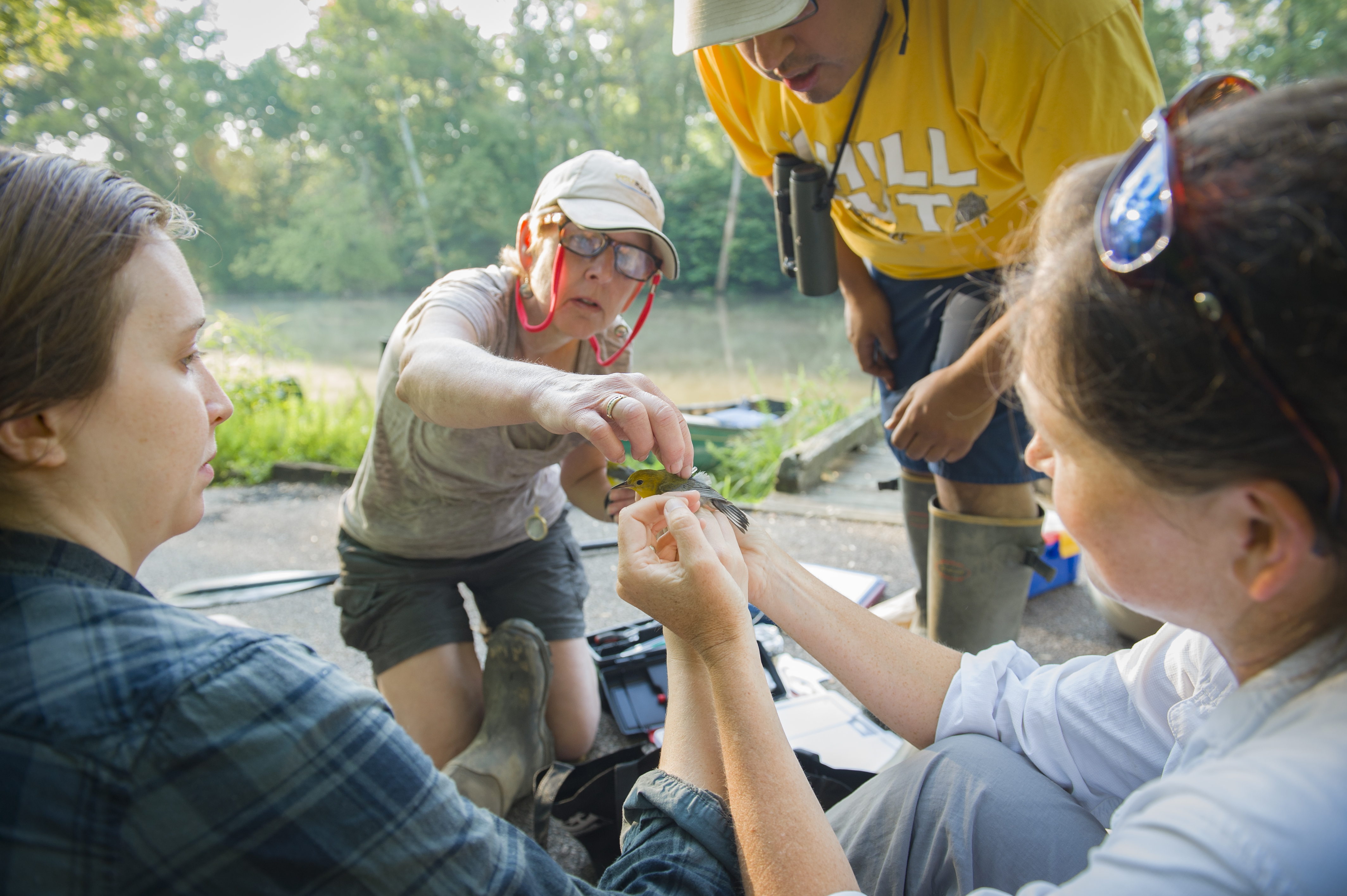 VCU Field Research Bird